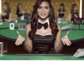 南宫app2024最新版